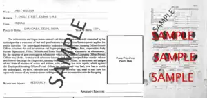 Example of Nigerian police character certificate from abroad biometrics form (filled)